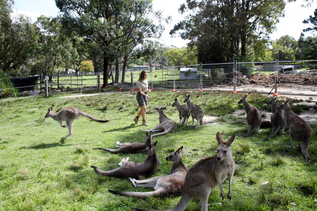 5. Symbio Zoo - Saturday 28th March